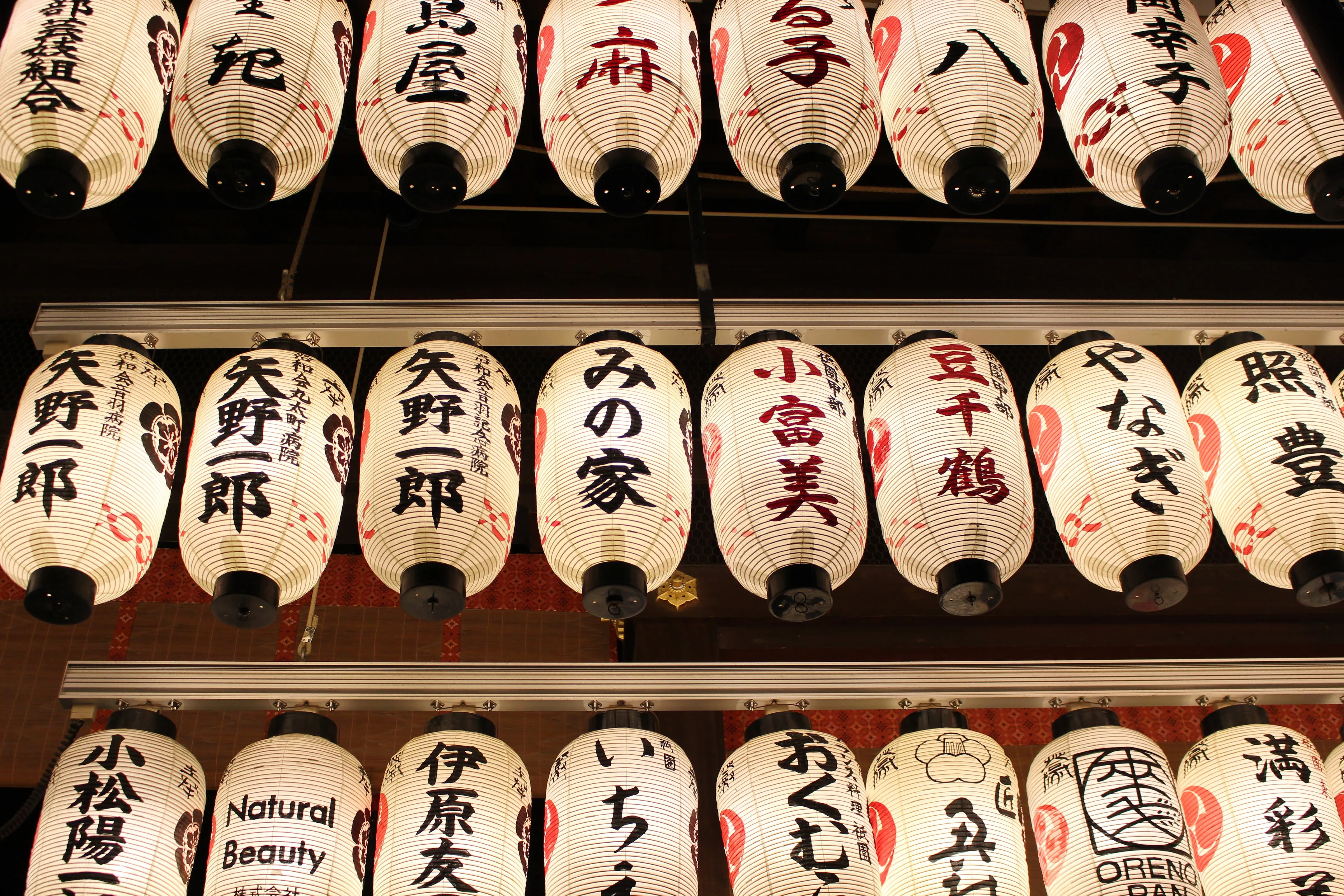 Lanterns at Yanaka Shrine